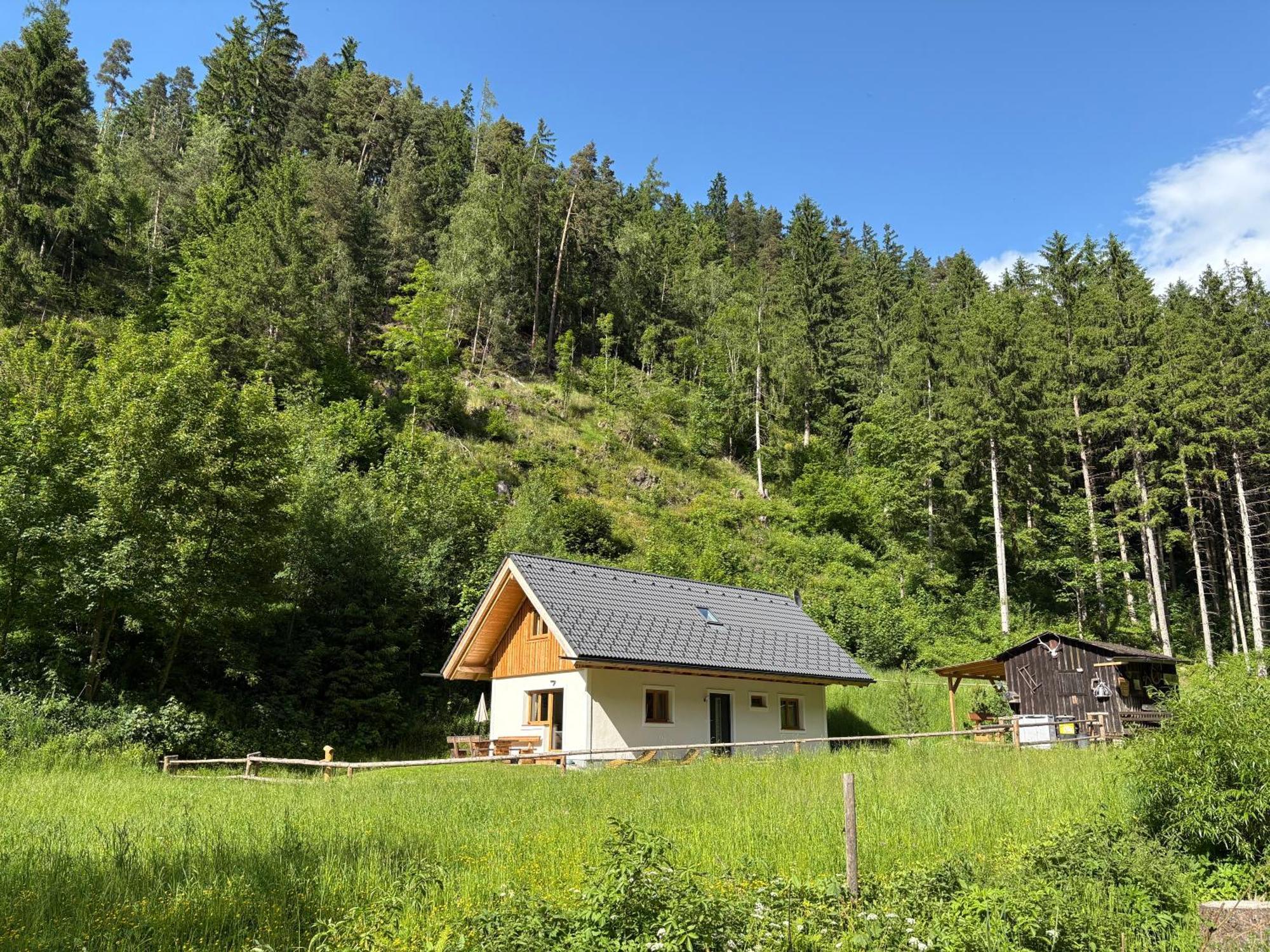 Grobmbauerhuette Villa Sankt Stefan ob Leoben Luaran gambar
